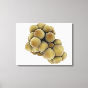 Microscopic View Of Tumour 5 Canvas Print