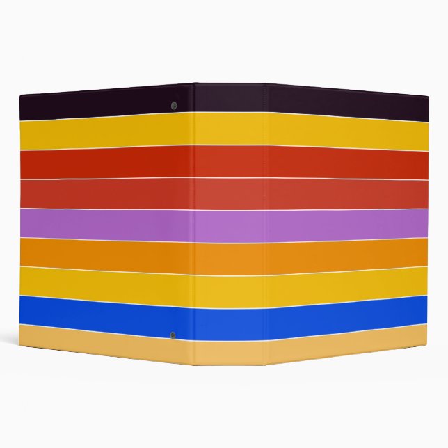Mid Century Colour Stripes  Binder (Background)