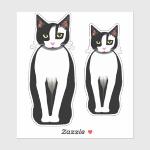 Mid Century Modern Black and White Cat