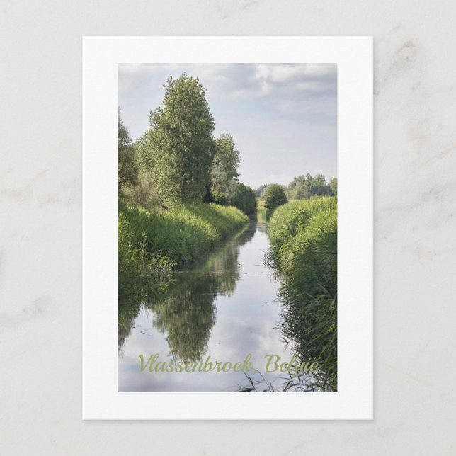 Mid Summer in Vlassenbroek, Belgium Postcard (Front)