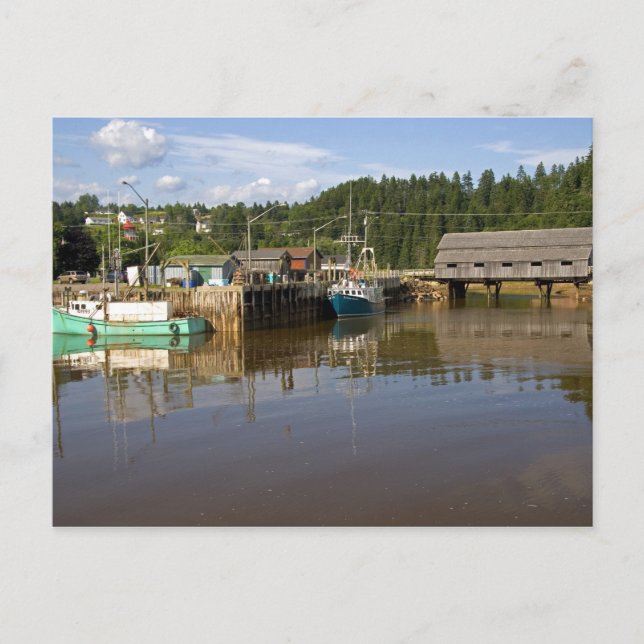 Mid tide at the Bay of Fundy at St. Martins, New Postcard (Front)
