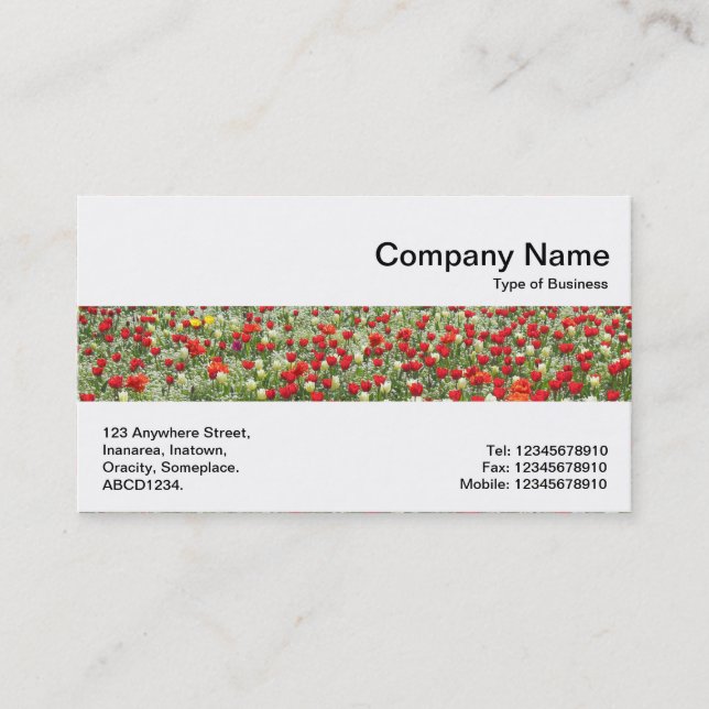 Middle Band - Bed of Tulips Business Card (Front)