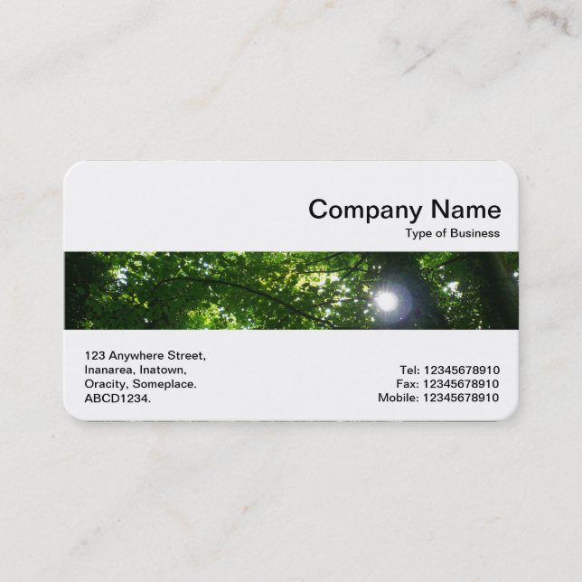 Middle Band - Sun Through Trees Business Card (Front)