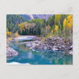 Middle Fork of Flathead River Photo Postcard