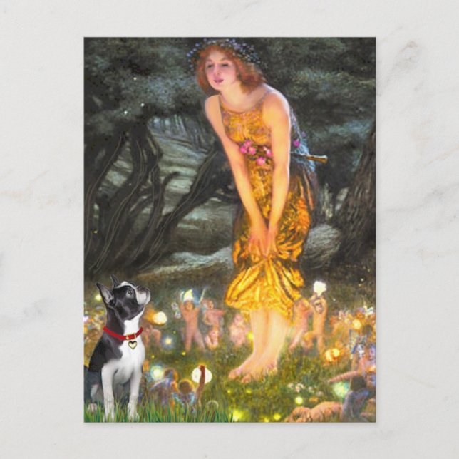 MidEve - Boston Terrier #2 Postcard (Front)
