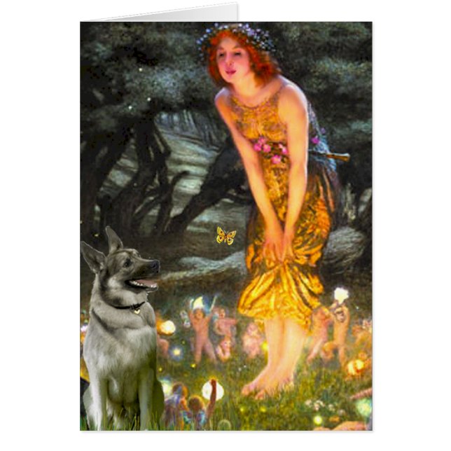 MidEve - Norwegian Elkhound (Front)