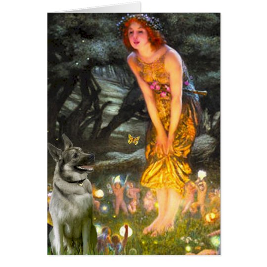 MidEve - Norwegian Elkhound Card