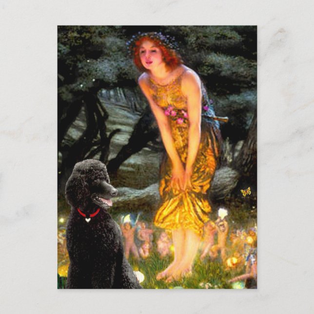 MidEve-Standard Black Poodle (T) Postcard (Front)