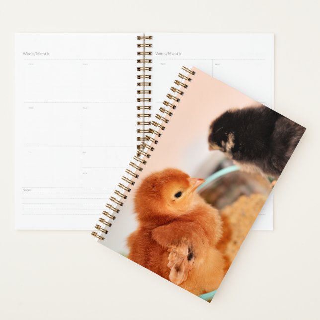 Midge Planner (Display)