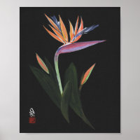 Midnight Bird of Paradise Art