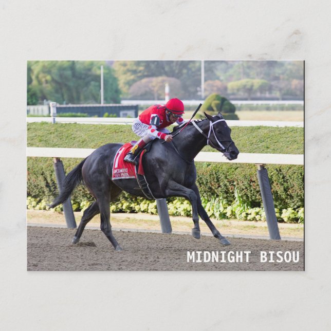 Midnight Bisou - Beldame Stakes Postcard (Front)