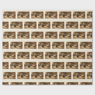 Midnight Black Kitten Wading Through Popcorn Wrapping Paper
