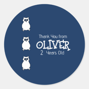 Midnight Blue Owl Birthday Party Classic Round Sticker