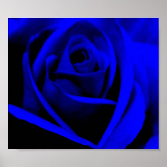 Midnight Blue Rose - poster/print Poster (Front)