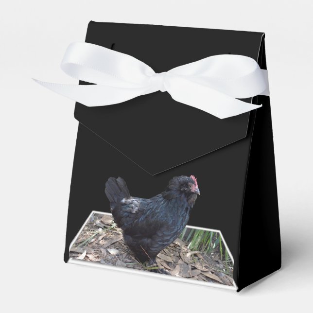 "Midnight Feathers: A Black Chicken in Popout Art" Favor Box (Front Side)