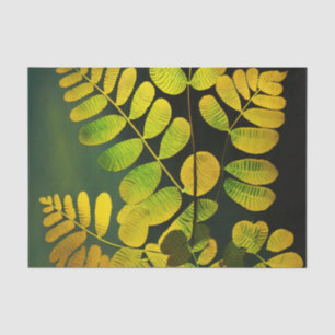 MIDNIGHT FERN decoupage paper