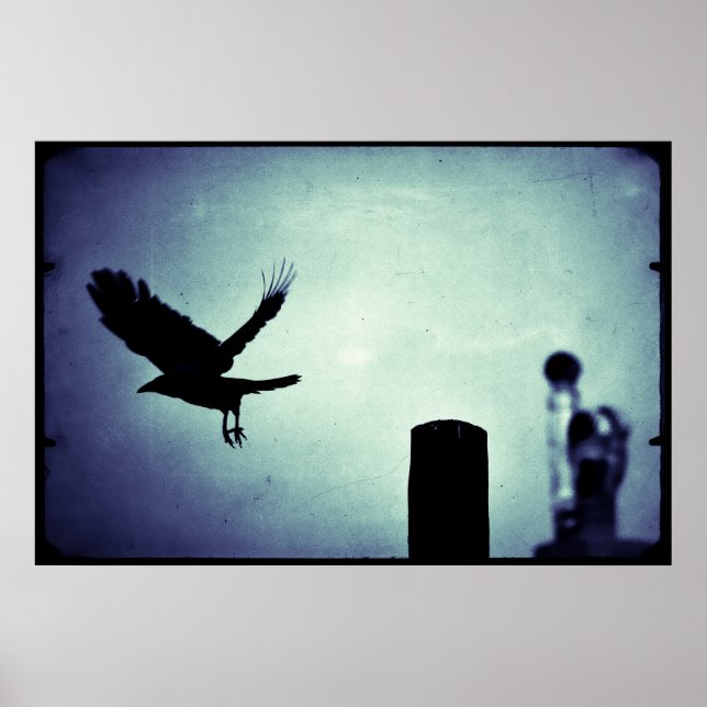 Midnight Flight of the Magpie Poster (Front)