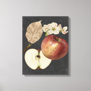 Midnight Harvest II Canvas Print