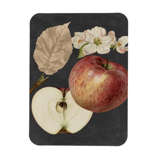 Midnight Harvest II Magnet (Vertical)