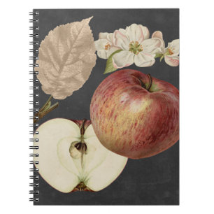 Midnight Harvest II Notebook