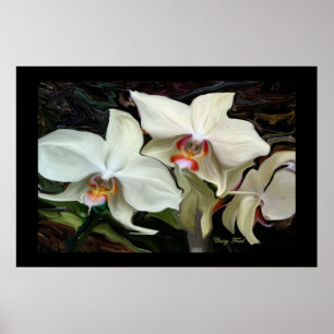 MIDNIGHT MAGIC ORCHID PRINT