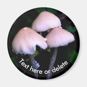 Midnight Mushrooms Nature Personalized Magnet