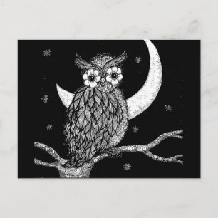 Midnight Owl Postcard