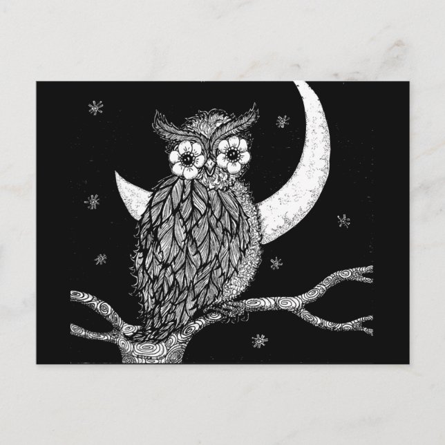 Midnight Owl Postcard (Front)