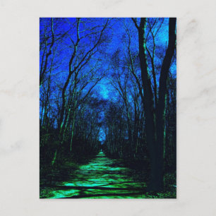 Midnight Path Postcard