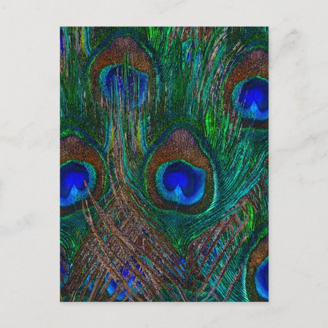 Midnight Peacock Feathers Etching Style Decor Postcard (Front)
