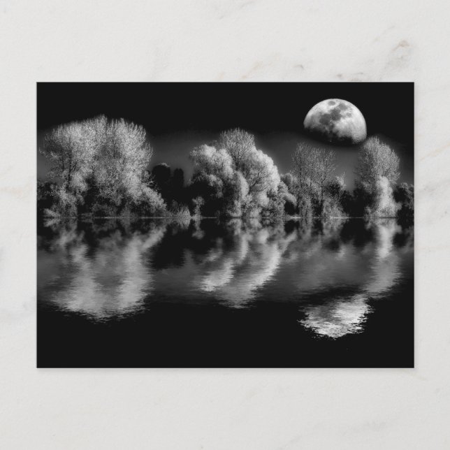 Midnight Reflections Postcard (Front)