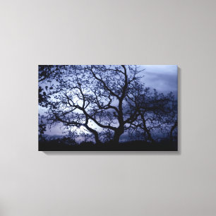 Midnight Sunset Canvas Print