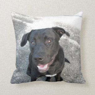 Midnight the Black Lab Smiles Throw Pillow