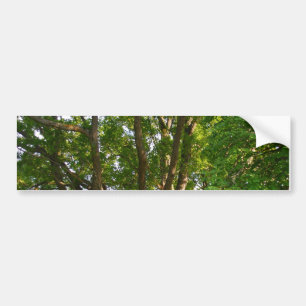 Midsummer Light Småland Bumper Sticker