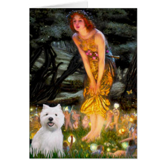 Midsummers Eve - Westie 2