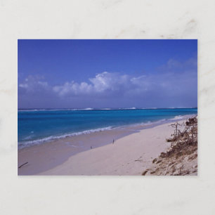 Midway Atoll beach Postcard
