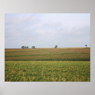 Midwest Cornfield Landscape Colour 16x20 Poster