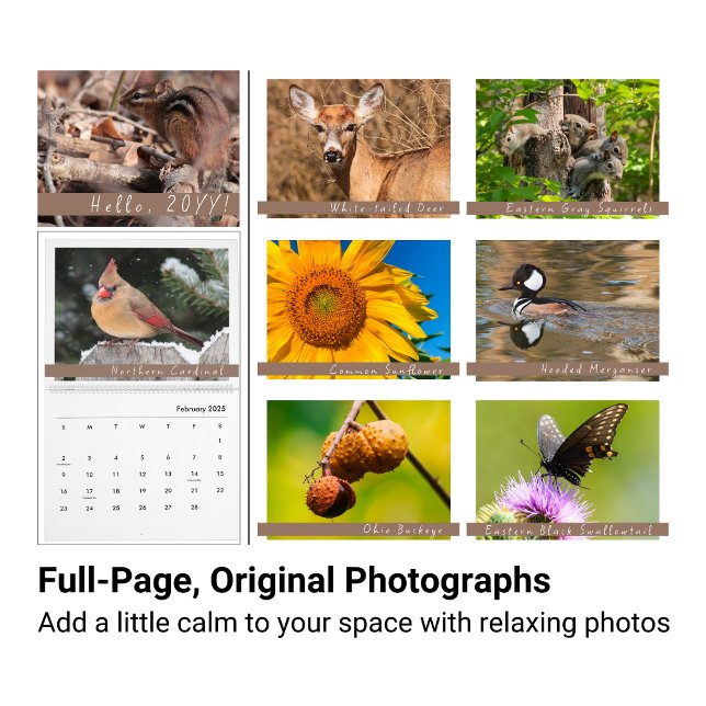 Midwestern Backyard Nature Photography Calendar (Creator Uploaded)