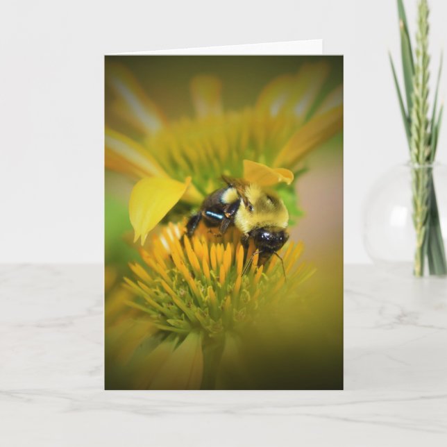Miel Abeille Sur Coneflower, carte (Devant)