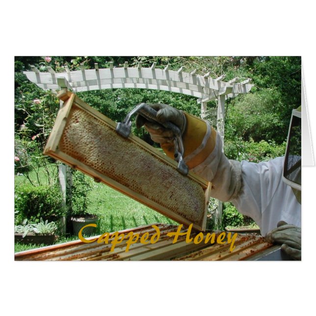 Miel couvert (Devant horizontal)