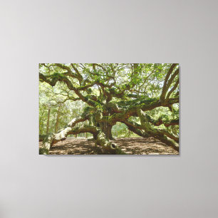 Mighty Angel Oak Canvas Print