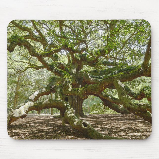 Mighty Angel Oak Mouse Pad (Front)