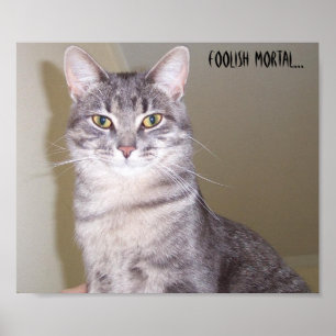 Mighty Feline, Foolish mortal... Poster