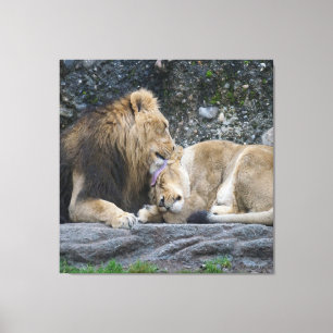 Mighty Lion Love Canvas Print
