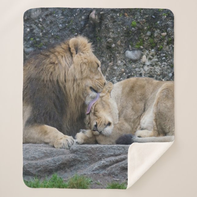 Mighty Lion Love Sherpa Blanket (Front)