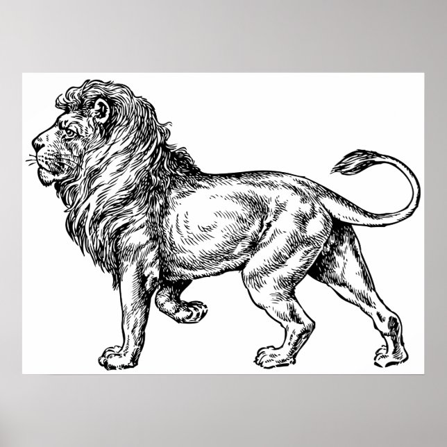 Mighty Lion Sketch Poster (Front)