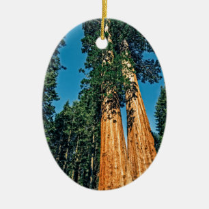 Mighty Redwood Ceramic Ornament
