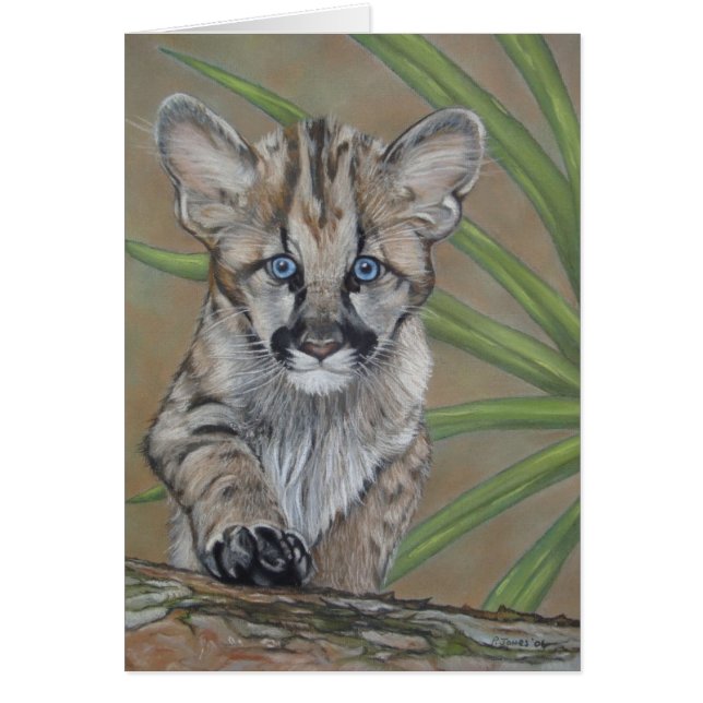 mignon bébé cougar kitten gros chat faune (Devant)