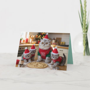 Mignon Chat British Shorthair Carte de Noël Cookie