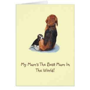 mignon chiot beagle bouddin maman chien